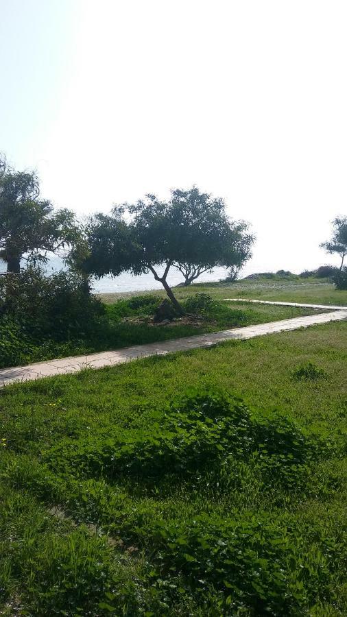 Il Mare Villa Larnaca Exterior foto